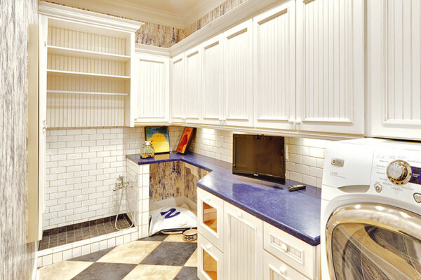 pet-friendly remodeling